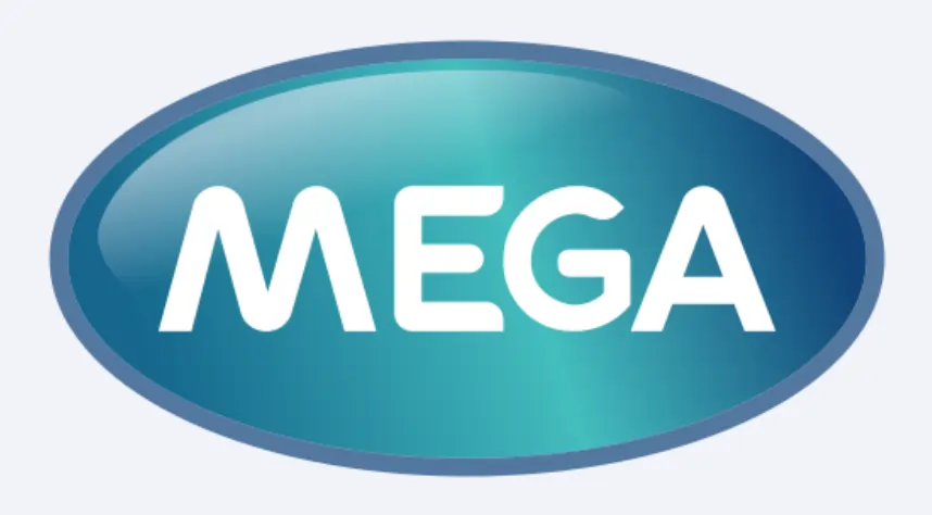 Mega Gaming Platforms