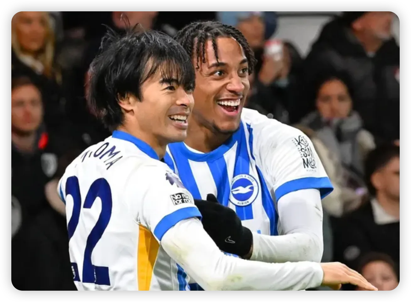 The Seagulls Soaring as Eagles Face Injury Crisis