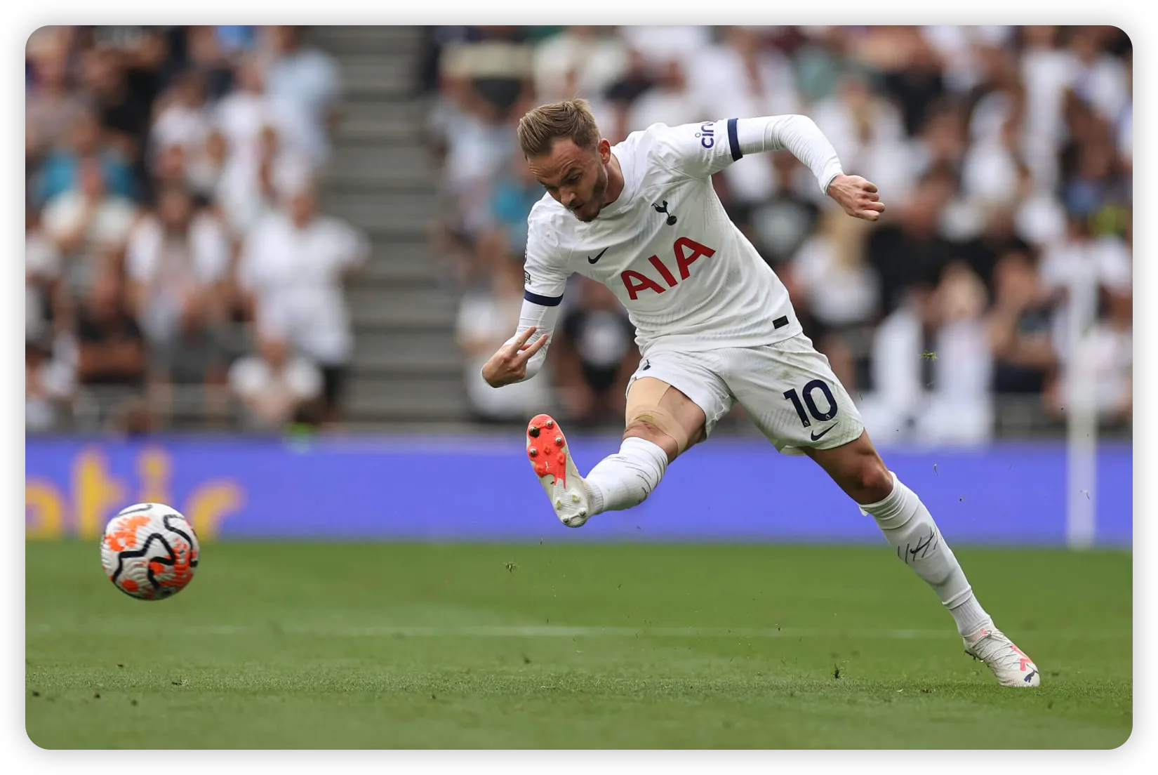 James Maddison Joins Tottenham: A Game-Changing Move Analyzed by Babu88